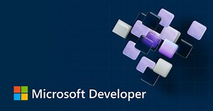 Microsoft Developer