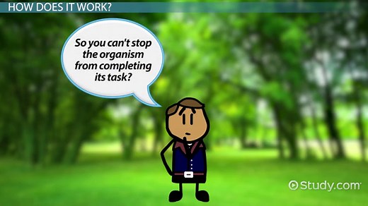 Fixed Action Pattern | Definition, Mechanisms & Examples