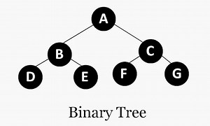 Binary Tree in C Using Recursion