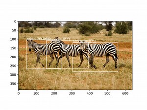 How to Perform Object Detection With YOLOv3 in Keras - MachineLearningMastery.com
