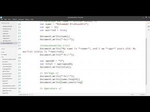 (3) JavaScript: Variables