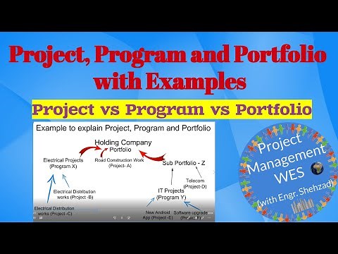 Project, Program and Portfolio with Examples, Project vs Program vs Portfolio, Project Management
