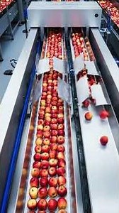 Inside the World’s Most Satisfying Fruit Factory 🍎 | Full Process
