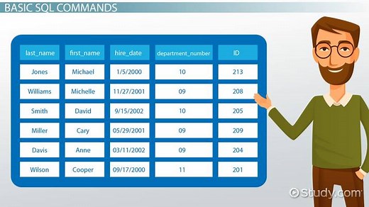 Basic SQL Commands in Database Management Systems (DBMS)