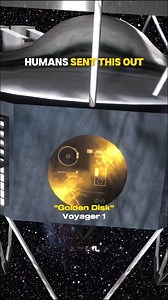 Aliens Response? Golden Disk? Voyager 1? 👽🌌 #Space | Professor Of Universe