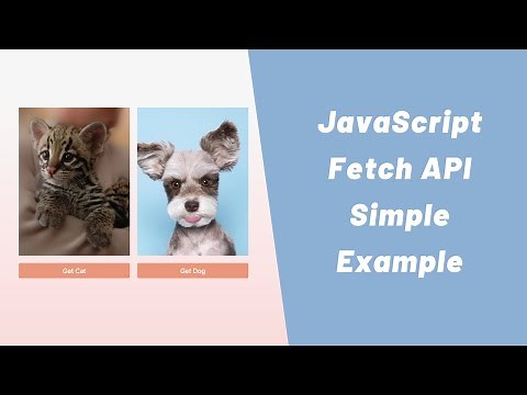 JavaScript Fetch API - Simple Example