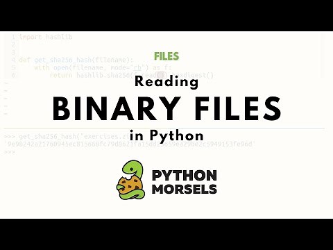 Reading binary files in Python
