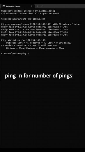 How to Use the Ping Command: A Beginner's Guide