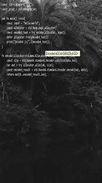 Zig 0.15 Base64 Encoding and Decoding Example