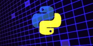 How-to use the Kaggle API in Python