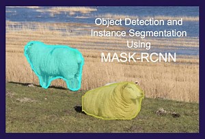 Mask RCNN in OpenCV - Deep Learning Based Object Detection and Instance Segmentation