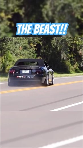 Terminator Cobra Understood the ASSIGNMENT //