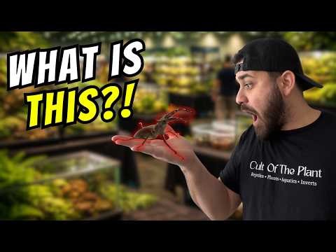 The Largest Invert Expo In Canada!