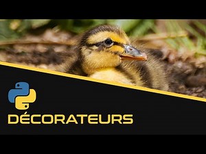 Decorators | Python - EP14