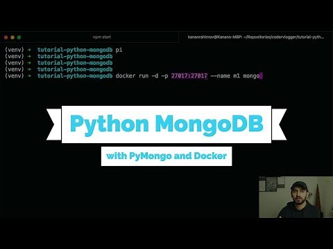 Python MongoDB tutorial using PyMongo and Docker