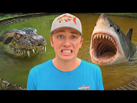 Every Monster i Found in 2024