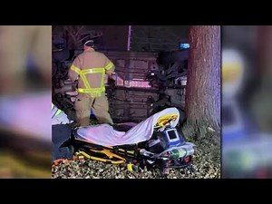 Local 4 News at 4 -- Nov. 18, 2022