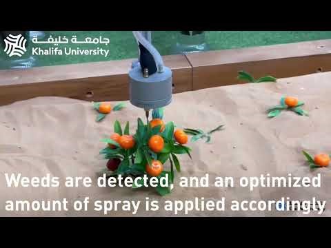 Robotic Weed Detection and Management
