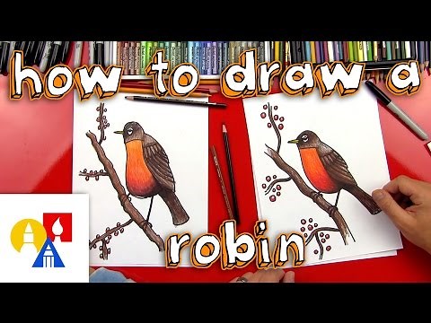 How To Draw A Robin Bird (realistic)