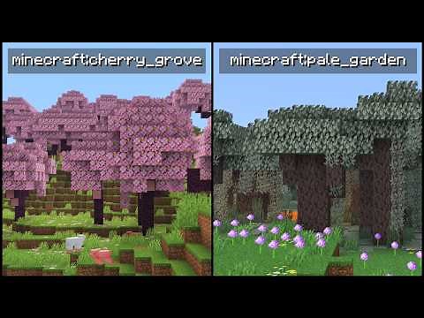Minecraft 1.21.11 - How To Show The Current Biome (F3 Screen)