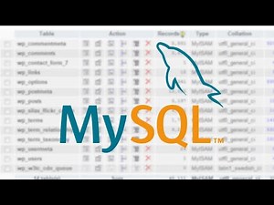 Comment créer et gérer une base de données MySQL et SQL avec MySQL workbench