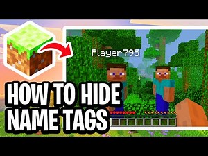 How To Hide Name Tags On Minecraft Java Edition - Step By Step
