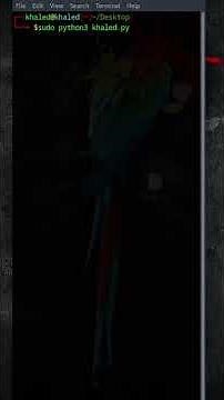 نوضح كيفية استخدام مكتبة Scapy في بايثون لالتقاط وتحليل الحزم الشبكية! 🕵️‍♂️✨