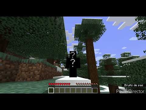 COMMENT ACTIVER LES COMMANDES LORSQU'ELLES SONT BLOQUÉES SUR MINECRAFT!