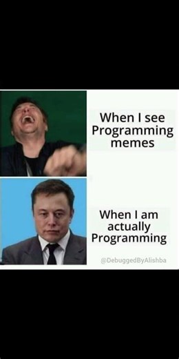 programming memes:3