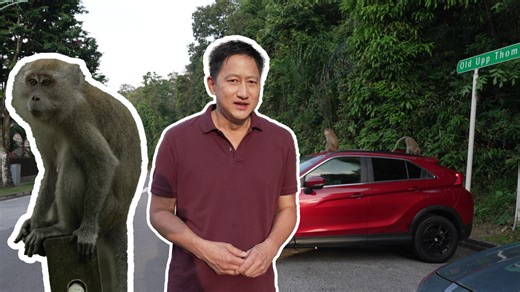 Talking Point 2025/2026 - Monkey Invasion: What Can We Do About it?