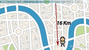 Vector in Math | Definition, Types & Examples