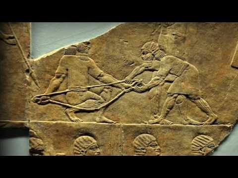 Testing Javaman Assyrian Bow