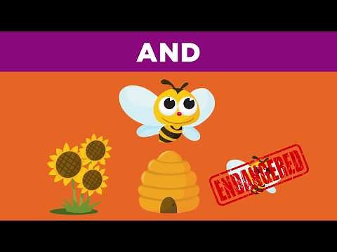 Searching Effectively Boolean Operators