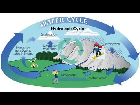 The water (hydrologic) cycle