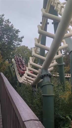 Python Efteling #coaster #efteling #themepark #fy