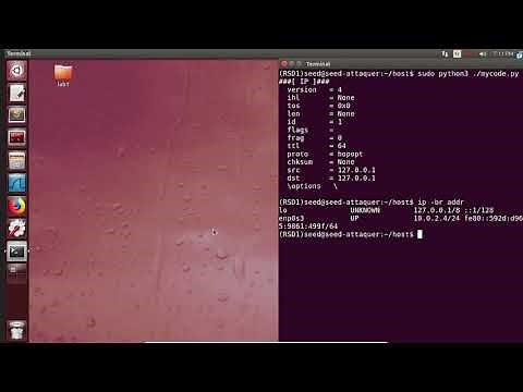 Packet Sniffing with Scapy: SEED Labs - Packet Sniffing and Spoofing Lab (Task 1.1A)