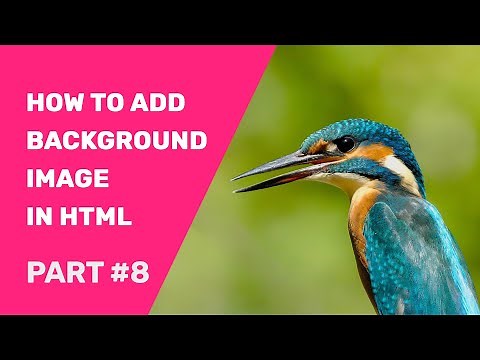 How To Add Background Image In HTML Using Notepad ++ | HTML Images