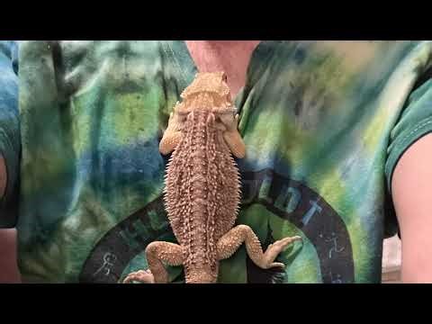 Alien can hear my mic