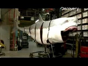 MythBusters - RoboShark