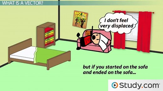 What is a Vector? | Vector Magnitude, Components & Examples