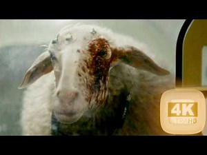 Alien Earth Eye Monster Every Scene From Season 1 ULTRA HD 4K.