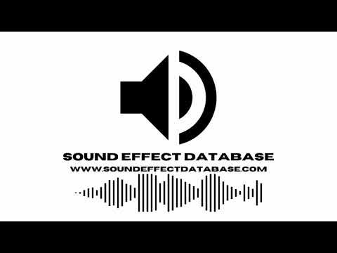 Alien Scream Sound Effect