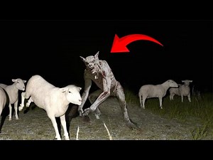 These Leaked Footage Of Chupacabra Will Leave You Shocked