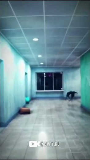 SCP Memes: Umbrella Containment Breach