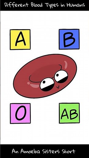 Different Blood Types in Humans - Amoeba Sisters #Shorts