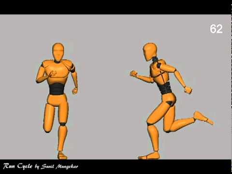 Run Cycle - Animation Reference