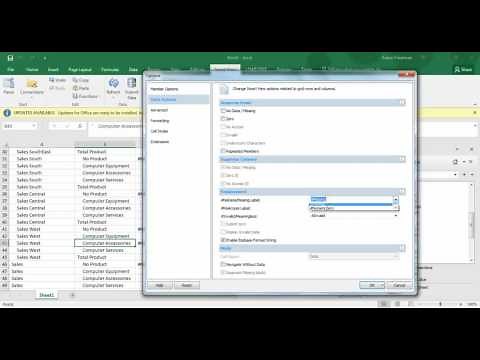 Excel Smartview Options Part 2 Tips & Tricks