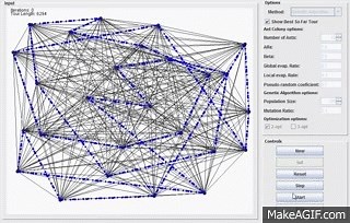 Ant Colony Optimization and Genetic Algorithms for the TSP on Make a GIF