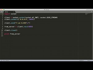 Python Socket Programming Demo