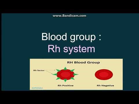 Rh blood group system